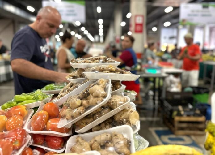 Feiras da ADS movimentaram mais de R$ 20 milhões em Manaus em 2025, beneficiando produtores rurais e fortalecendo a economia solidária.