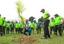 Manaus registra plantio de 6 mil mudas em janeiro e reforça plano de arborização Manaus alcança plantio de 6 mil mudas em janeiro e intensifica arborização urbana, com meta de 30 mil mudas em 2026.