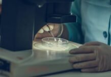 Governo do Amazonas investe R$ 4,8 milhões em novos editais da Fapeam Fapeam abre inscrições para três programas inéditos com investimento de R$ 4,8 milhões. Saiba como participar dos editais Lidera Cientista, Provida e Socio Tech.