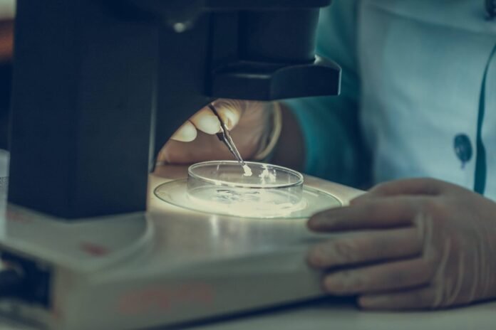 Fapeam abre inscrições para três programas inéditos com investimento de R$ 4,8 milhões. Saiba como participar dos editais Lidera Cientista, Provida e Socio Tech.