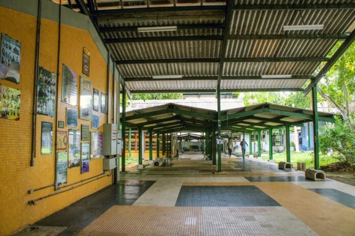 Ufam abre 70 vagas para professor substituto com salários de até R$ 8,3 mil. Inscrições seguem até 20 de abril de 2026.