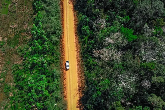 Ação judicial contra obras na BR-319 aponta irregularidades e risco de aumento do desmatamento na Amazônia.