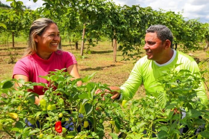 Aadesam abre seleção temporária para atuação na Sepror com vagas em Manaus e interior do Amazonas. Confira cargos e inscrições.