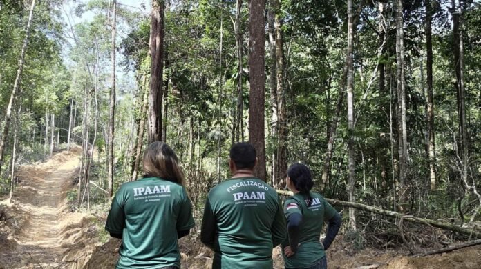 Defeso Florestal 2026 termina nesta sexta no Amazonas e Ipaam libera manejo sustentável em áreas licenciadas a partir de sábado.