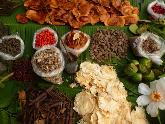 O Desafio Bioinovação Amazônia abre inscrições para projetos sustentáveis com prêmios de até R$ 200 mil. Participe da iniciativa do Idesam.