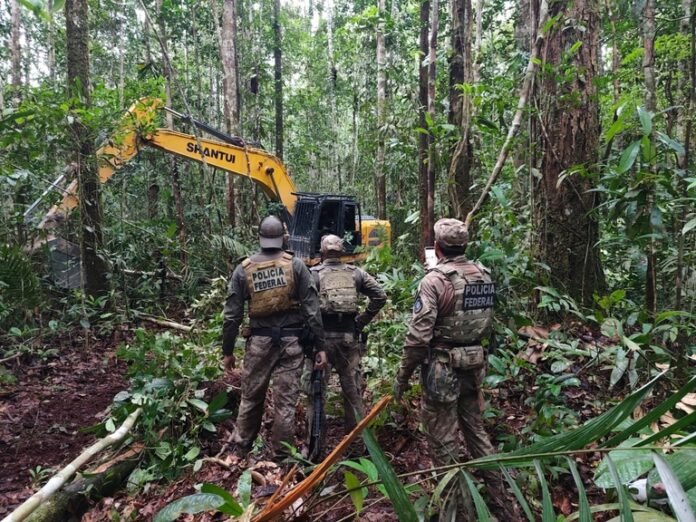 Ação da PF e ICMBio mira a mineração clandestina no Amazonas.