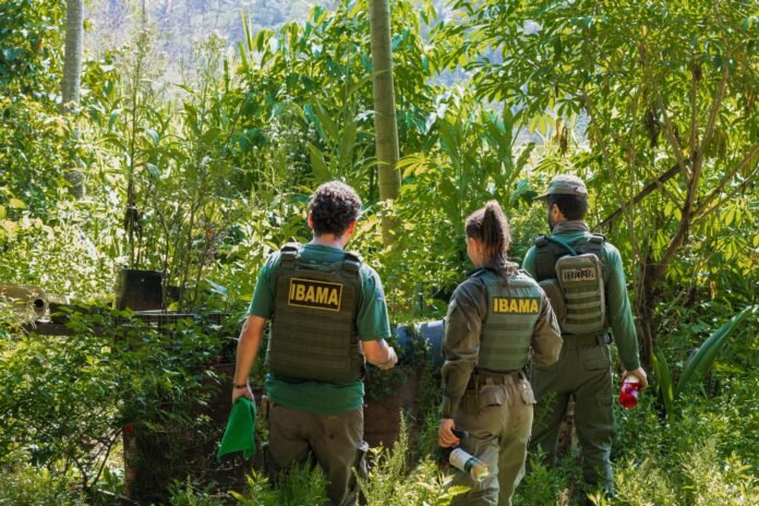 Fiscalização ambiental terá novas regras após aprovação de projeto que restringe ações do Ibama e ICMBio contra crimes ambientais.