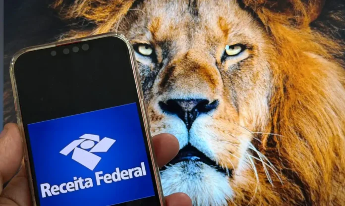 Fique atento pois o prazo de entrega do Imposto de Renda termina nesta sexta-feira (29).