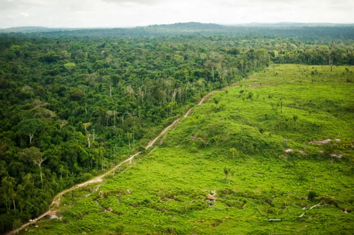 Regularização fundiária no Amazonas enfrenta preços defasados, risco de grilagem e falhas na fiscalização, aponta estudo do Imazon.