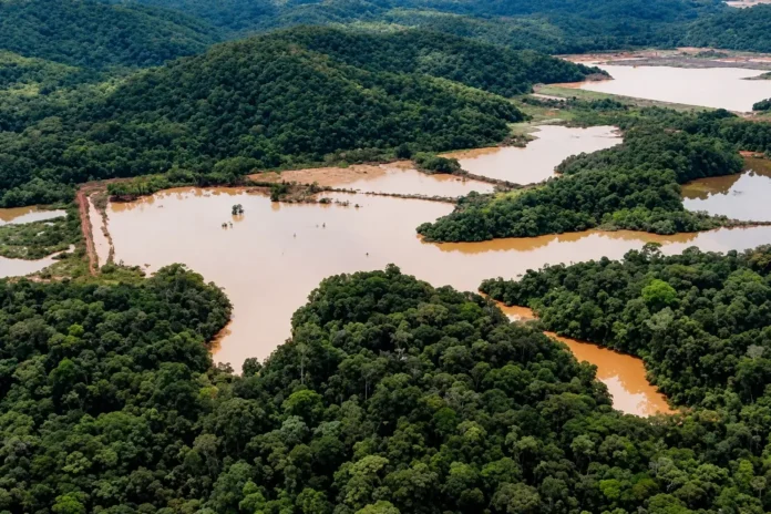 MPF reúne indígenas e mineradora para avançar investigação sobre possível contaminação de rios no Amazonas.