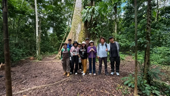 Manaus se destaca entre destinos preferidos de turistas chineses e fortalece a presença da Amazônia no mercado internacional.