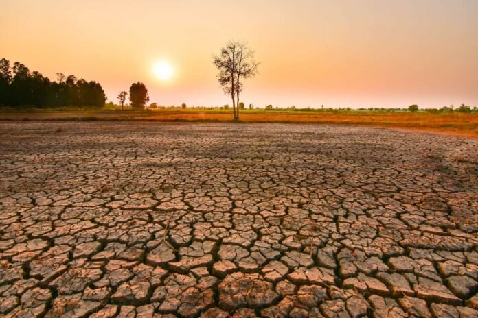 Governo aplica R$ 1,3 bi contra os efeitos do El Niño no Brasil. Ações incluem estocagem de alimentos, combate a incêndios e reforço na