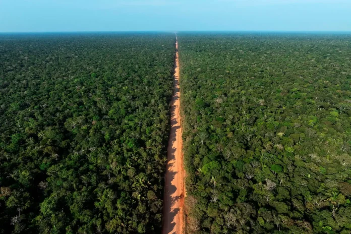 BR-319 tem bloqueios temporários no km 370,70 para manutenção de ponte no Amazonas até quinta-feira (20).