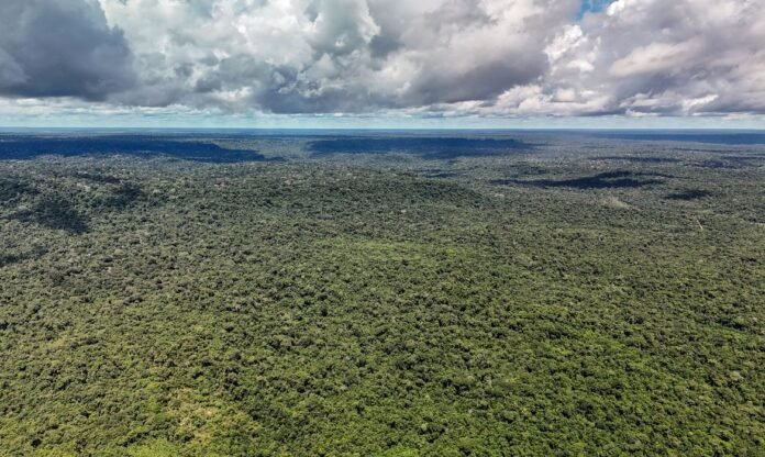Devastação na Amazônia ameaça a máquina de chuva que distribui umidade pela América do Sul e pode agravar secas e o aquecimento global.