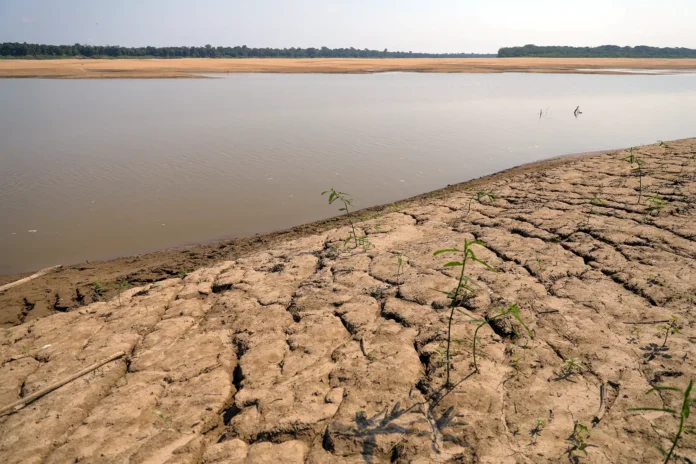 MPAM fiscaliza ações de prevenção e resposta à estiagem e aos possíveis impactos do El Niño em São Gabriel da Cachoeira
