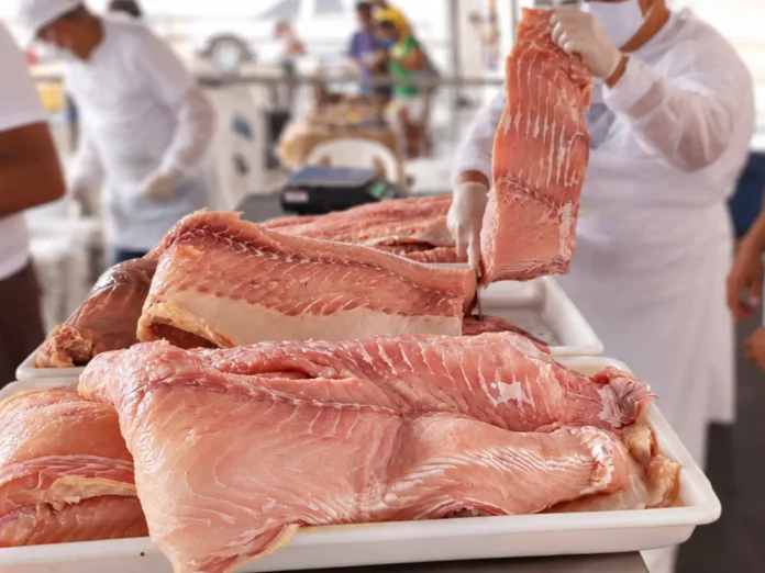 A feira do pirarucu acontece neste sábado em Manaus com peixe fresco a partir de R$ 8 o quilo. Confira cortes, valores e horário de atendimento no Parque Dez.