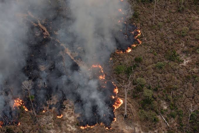 Focos de calor no Amazonas chegaram a 2.384 entre 1º e 19 de setembro, alta de 282,1% em comparação com o mesmo período de 2025.