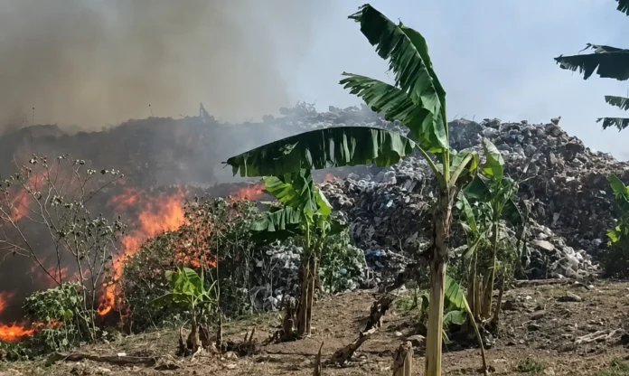 Queimadas avançam no Amazonas, e MPC-AM recomenda reforço das ações contra os impactos do El Niño, fumaça, estiagem e calor extremo.