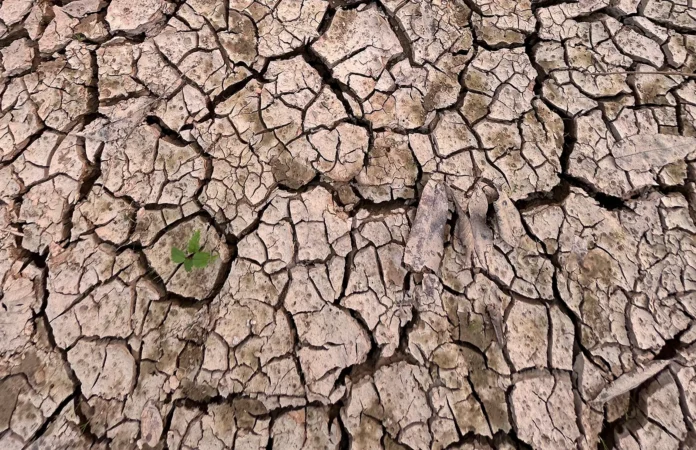 MPAM acompanha medidas contra o El Niño em Novo Aripuanã e cobra ações para enfrentar estiagem, queimadas e incêndios.