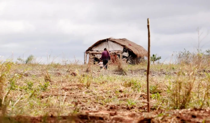 Conflitos no campo aumentam 140% no Amazonas, passando de 37 para 52 ocorrências no primeiro semestre de 2026, aponta a CPT.