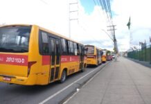 Prefeitura de Manaus sanciona subsídio de até R$ 3 milhões para o transporte complementar Subsídio de até R$ 3 milhões para ‘amarelinhos’ é sancionado em Manaus. Repasse depende do déficit e do cumprimento de regras.