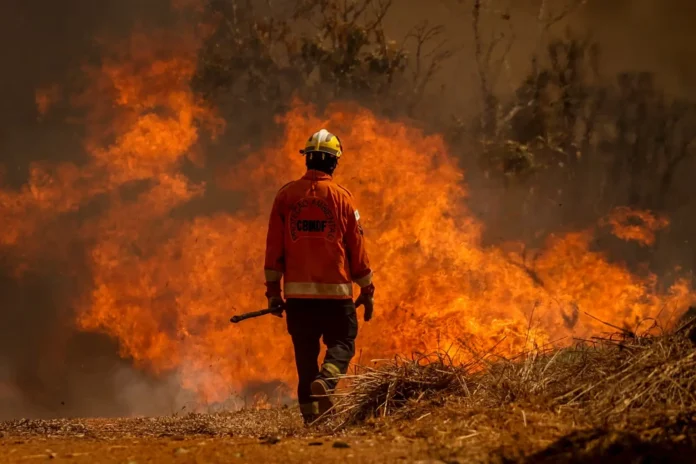 Incêndios criminosos na Amazônia são investigados pelo governo. Ibama aplica R$ 2 milhões em multas e embarga 250 hectares no Amazonas.